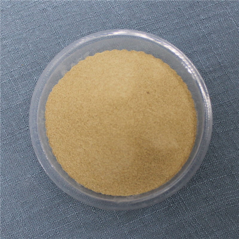 Thickener sodium alginate (ZC10)